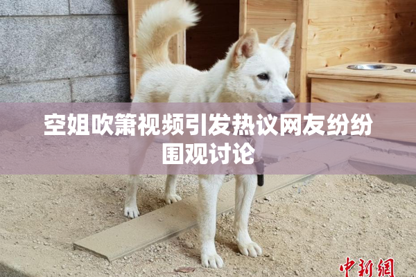 空姐吹箫视频引发热议网友纷纷围观讨论