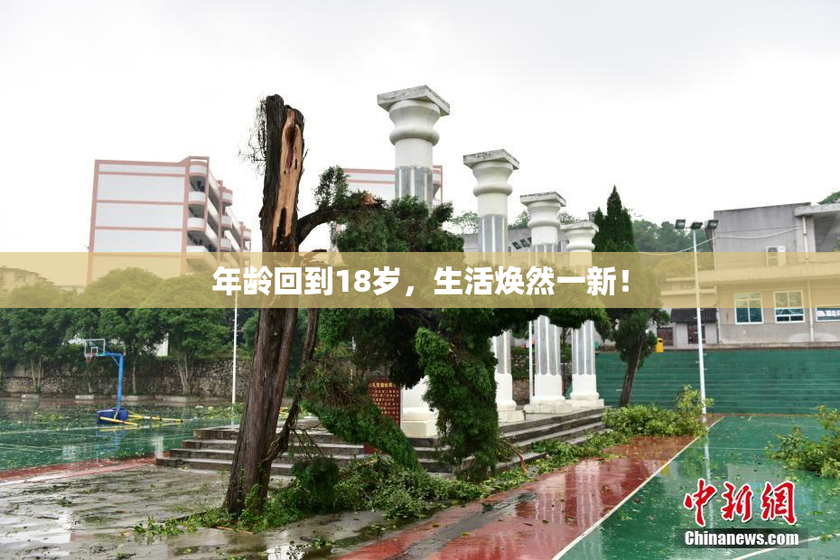 年龄回到18岁，生活焕然一新！