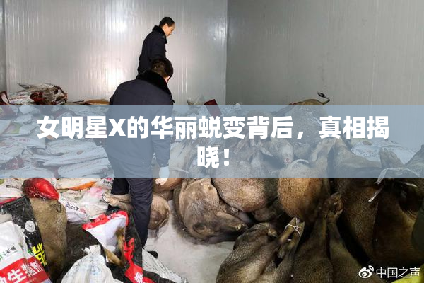 女明星X的华丽蜕变背后，真相揭晓！