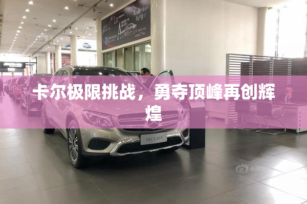卡尔极限挑战，勇夺顶峰再创辉煌