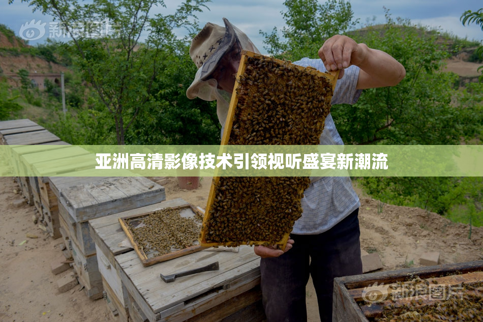 亚洲高清影像技术引领视听盛宴新潮流