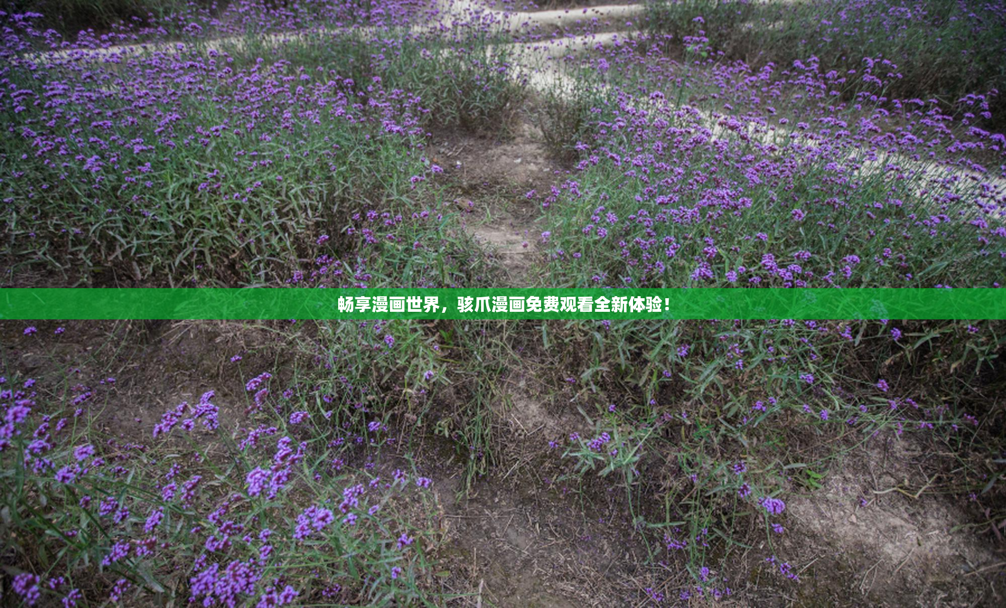 畅享漫画世界，骇爪漫画免费观看全新体验！