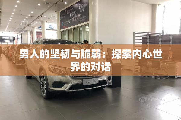 男人的坚韧与脆弱：探索内心世界的对话