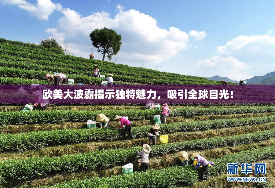 欧美大波霸揭示独特魅力，吸引全球目光！