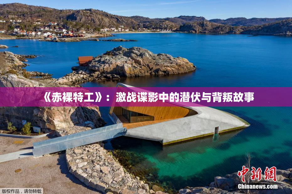 《赤裸特工》：激战谍影中的潜伏与背叛故事