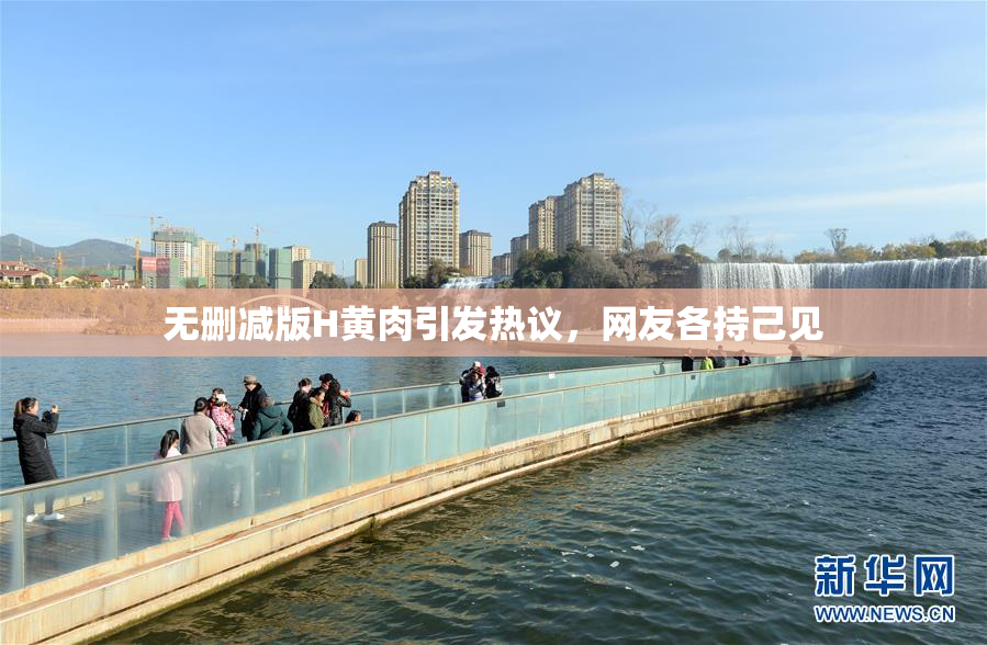 无删减版H黄肉引发热议，网友各持己见