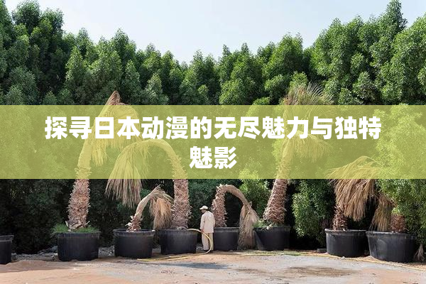 探寻日本动漫的无尽魅力与独特魅影