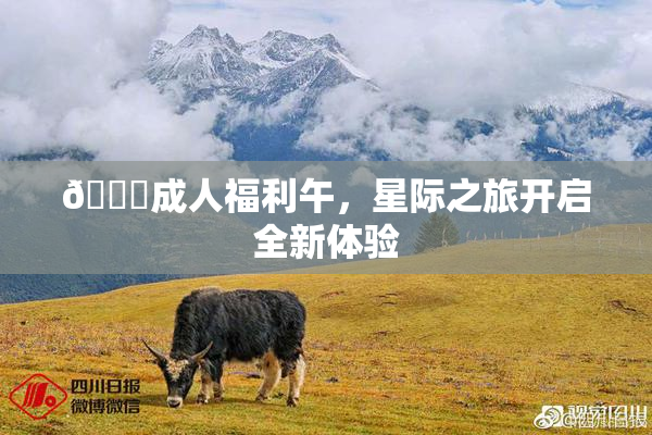 🔞成人福利午，星际之旅开启全新体验