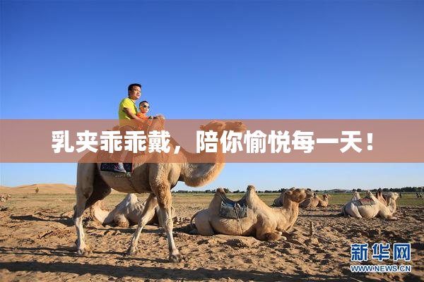 乳夹乖乖戴，陪你愉悦每一天！