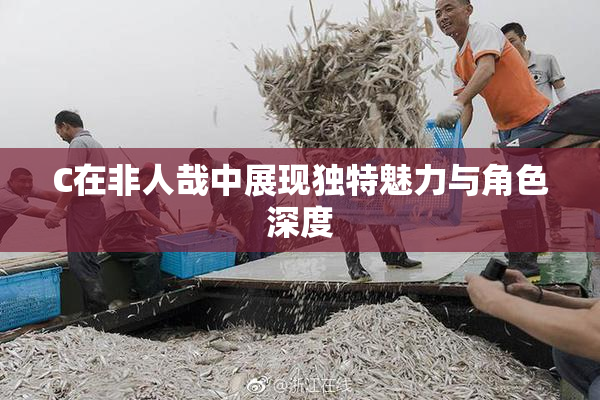 C在非人哉中展现独特魅力与角色深度