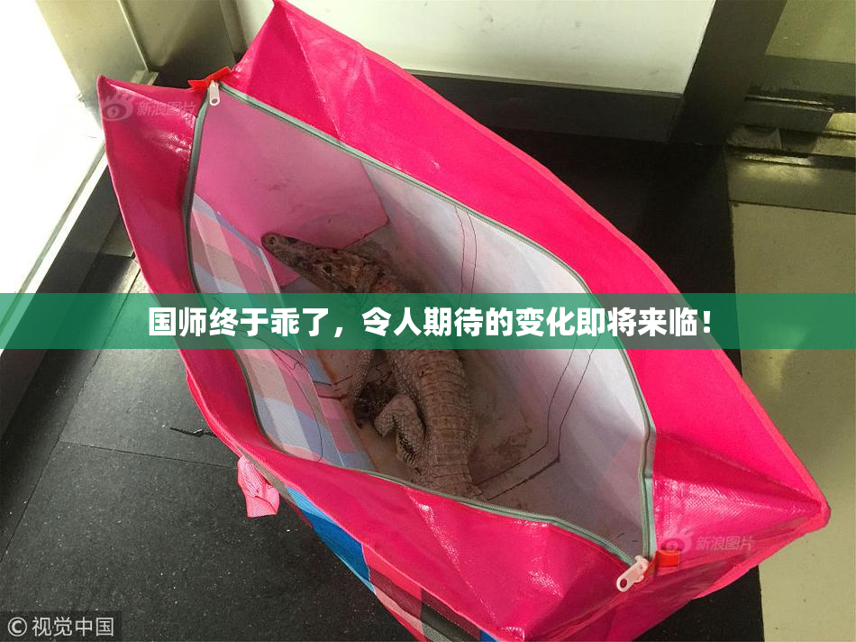 国师终于乖了，令人期待的变化即将来临！