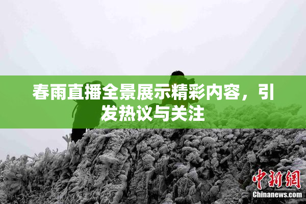 春雨直播全景展示精彩内容，引发热议与关注