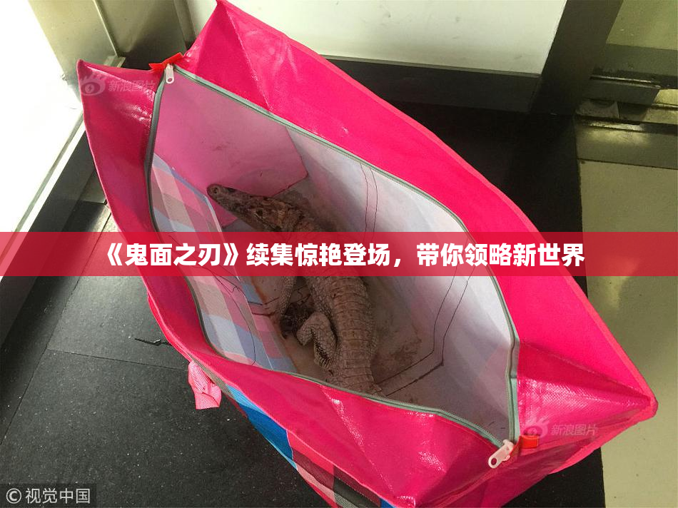 《鬼面之刃》续集惊艳登场，带你领略新世界