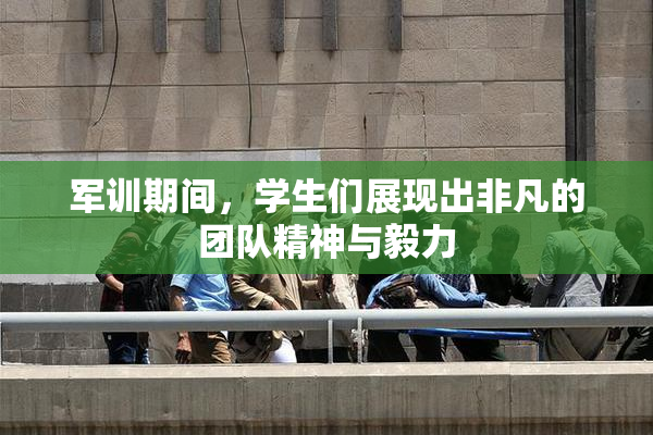军训期间，学生们展现出非凡的团队精神与毅力
