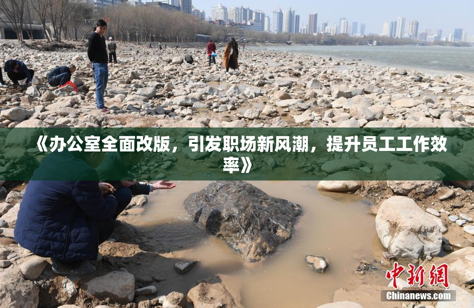 《办公室全面改版，引发职场新风潮，提升员工工作效率》