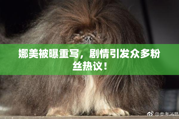 娜美被曝重写，剧情引发众多粉丝热议！