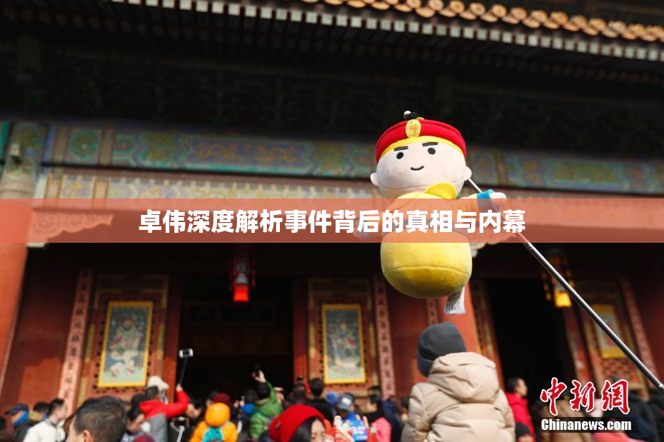 卓伟深度解析事件背后的真相与内幕
