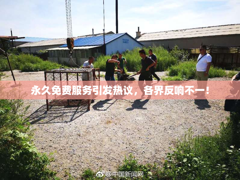 永久免费服务引发热议，各界反响不一！