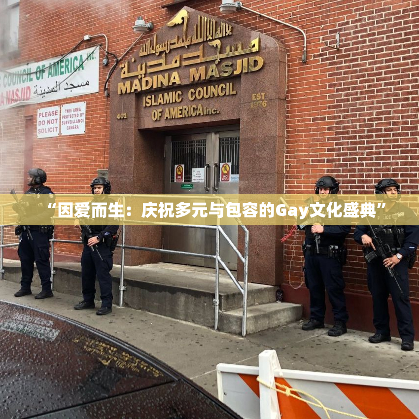 “因爱而生：庆祝多元与包容的Gay文化盛典”
