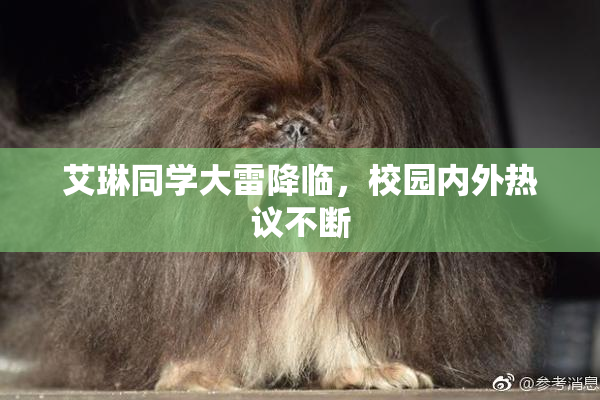 艾琳同学大雷降临，校园内外热议不断