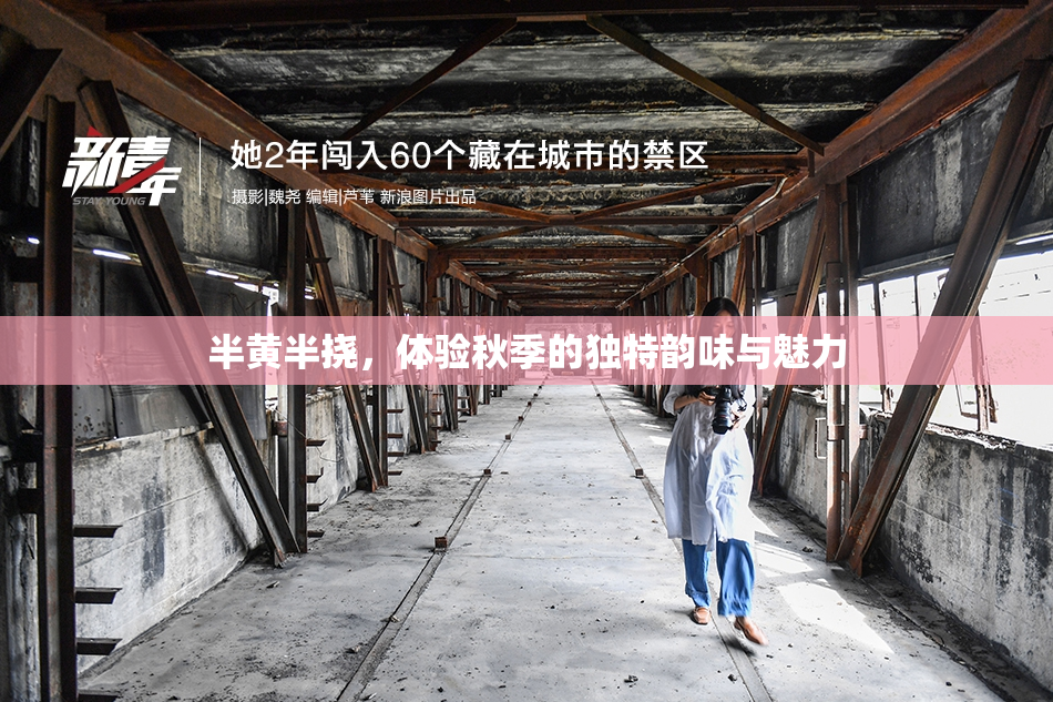 半黄半挠，体验秋季的独特韵味与魅力