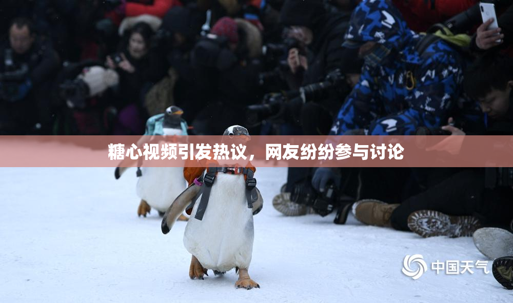 糖心视频引发热议，网友纷纷参与讨论