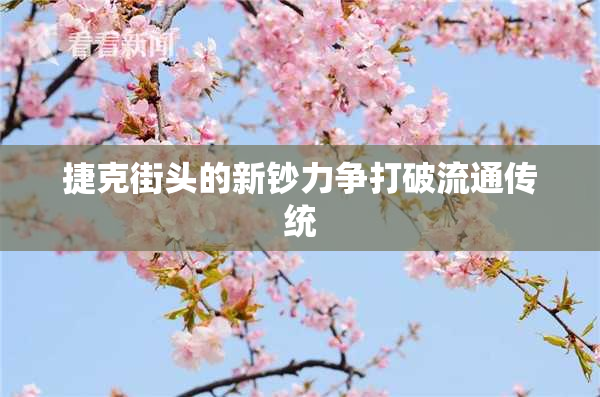 捷克街头的新钞力争打破流通传统