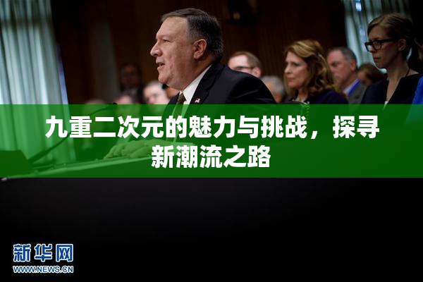 九重二次元的魅力与挑战，探寻新潮流之路