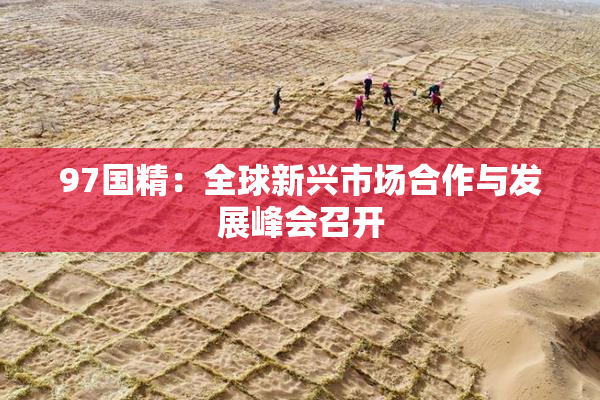 97国精：全球新兴市场合作与发展峰会召开