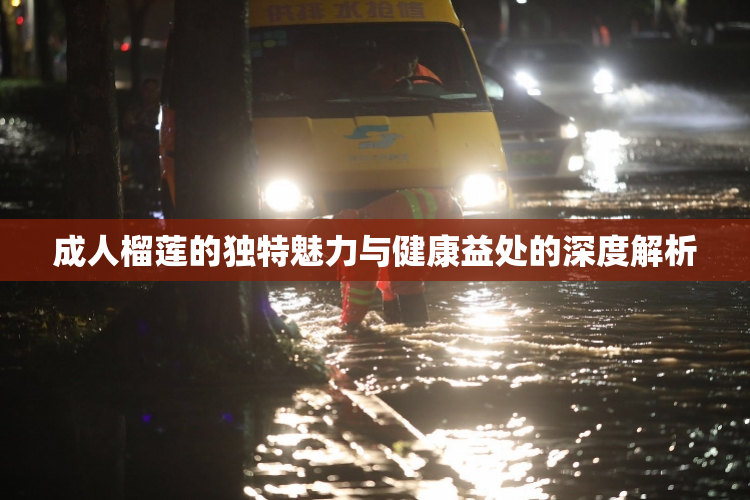 成人榴莲的独特魅力与健康益处的深度解析