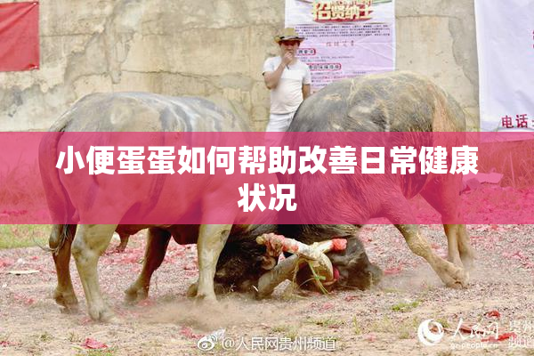 小便蛋蛋如何帮助改善日常健康状况