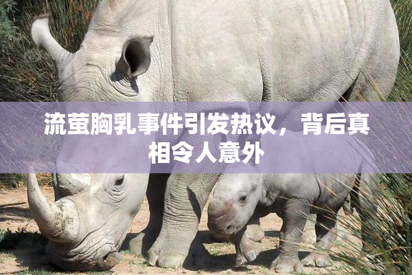 流萤胸乳事件引发热议，背后真相令人意外