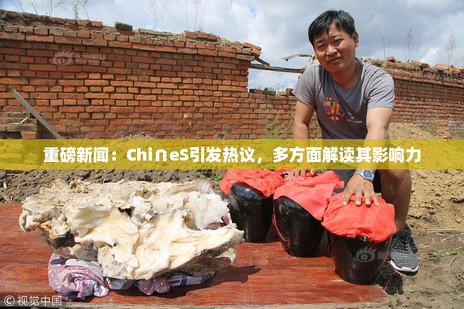 重磅新闻：Chi∩eS引发热议，多方面解读其影响力