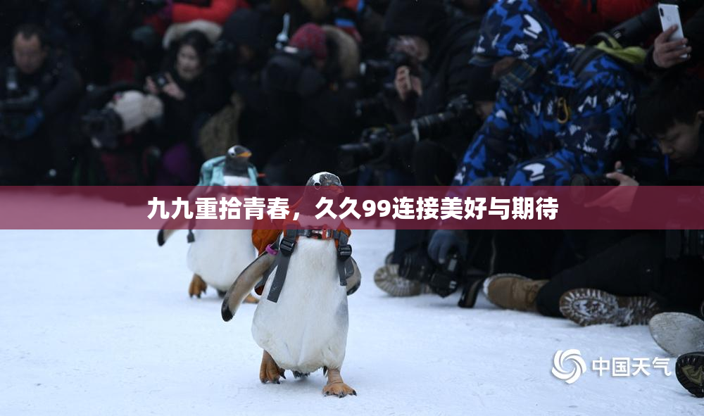 九九重拾青春，久久99连接美好与期待