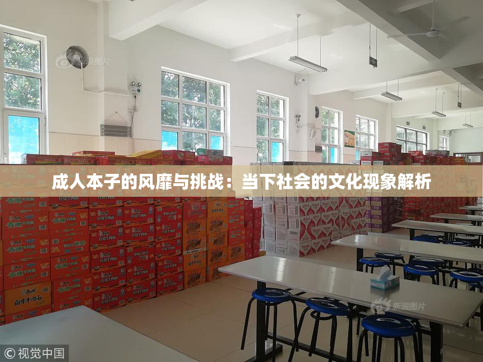 成人本子的风靡与挑战：当下社会的文化现象解析