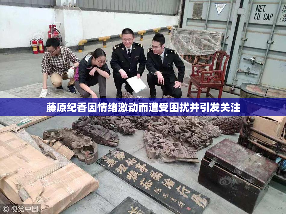 藤原纪香因情绪激动而遭受困扰并引发关注