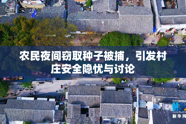 农民夜间窃取种子被捕，引发村庄安全隐忧与讨论