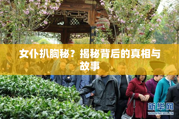 女仆扒胸秘？揭秘背后的真相与故事