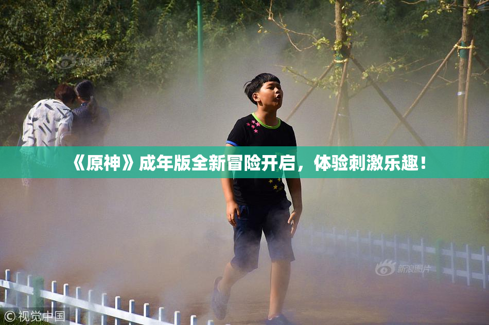《原神》成年版全新冒险开启，体验刺激乐趣！