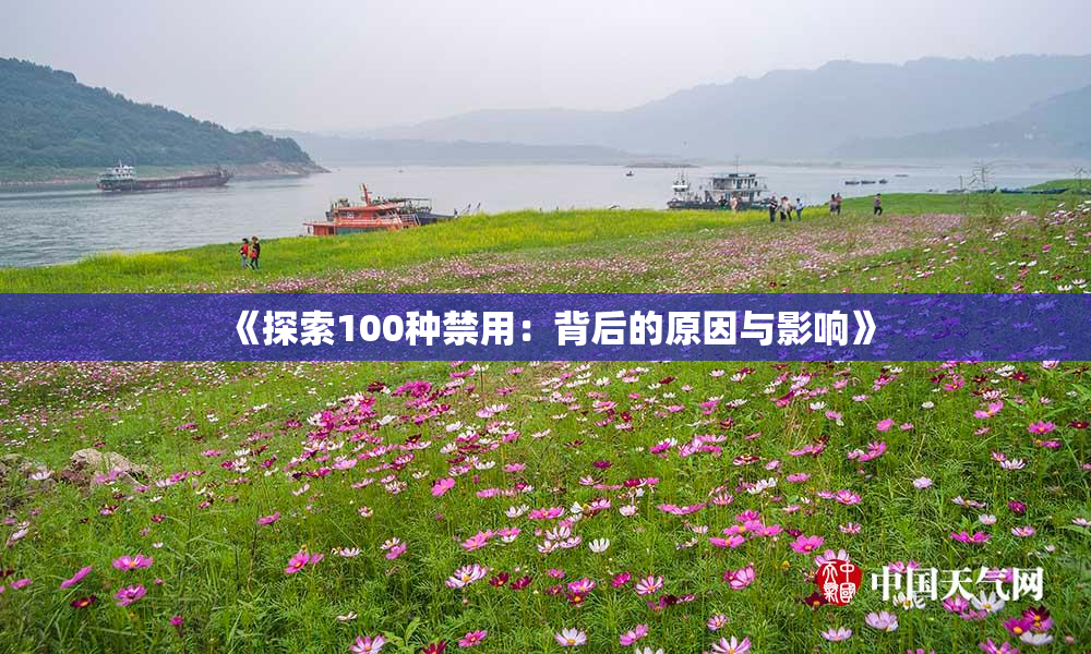 《探索100种禁用：背后的原因与影响》