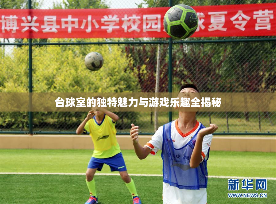 台球室的独特魅力与游戏乐趣全揭秘