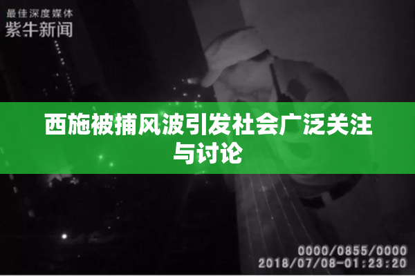 西施被捕风波引发社会广泛关注与讨论