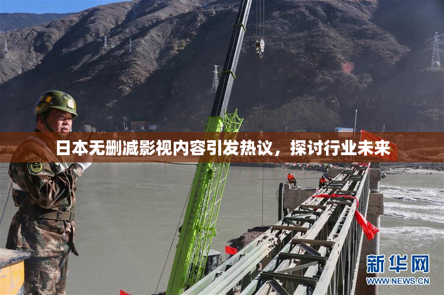 日本无删减影视内容引发热议，探讨行业未来