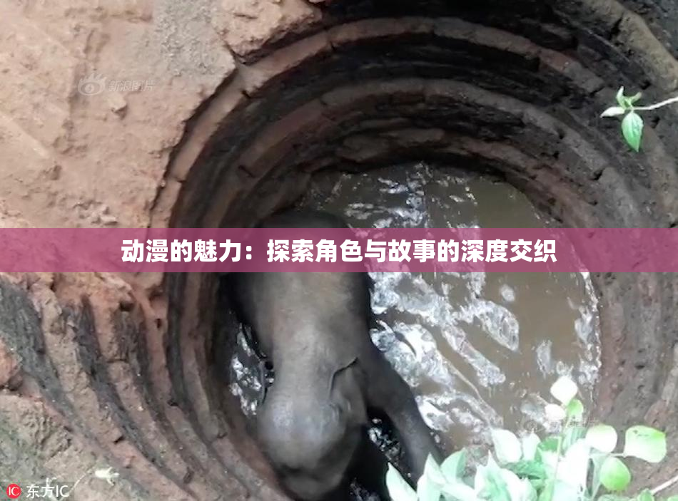 动漫的魅力：探索角色与故事的深度交织