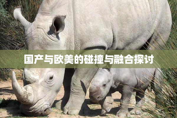 国产与欧美的碰撞与融合探讨