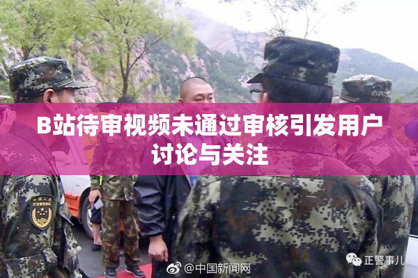 B站待审视频未通过审核引发用户讨论与关注