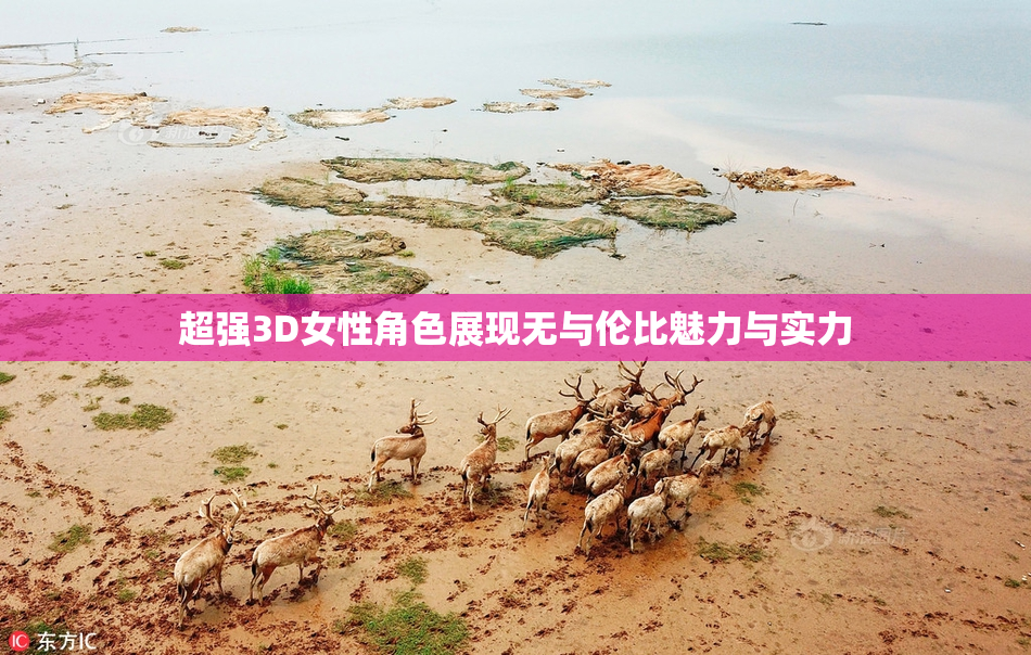 超强3D女性角色展现无与伦比魅力与实力