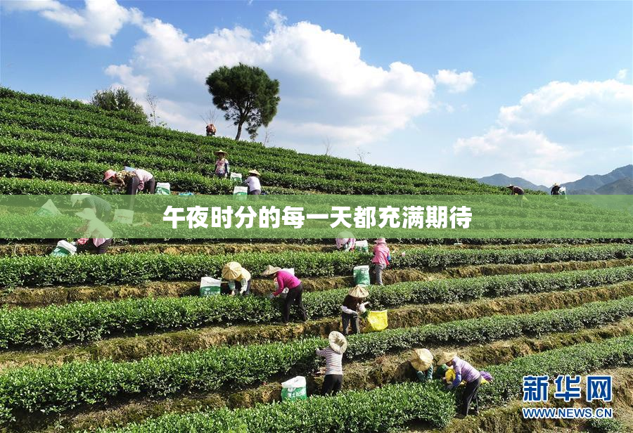 午夜时分的每一天都充满期待