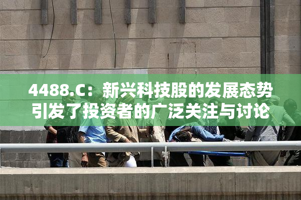 4488.C：新兴科技股的发展态势引发了投资者的广泛关注与讨论。