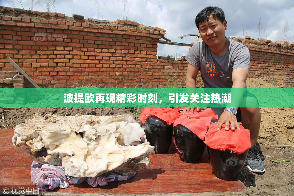 波提欧再现精彩时刻，引发关注热潮